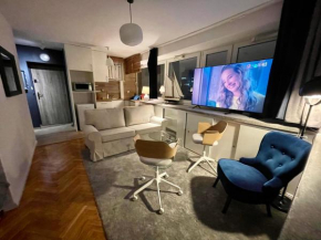 Super GREY 2 metro fast WiFi 65’TV Netflix HBO AppleTV+, Warsaw